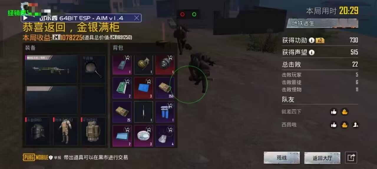 和平精英《魔法》辅助